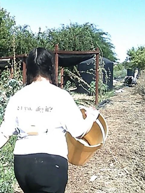 16 LTYD Farm Program 2026.jpg
