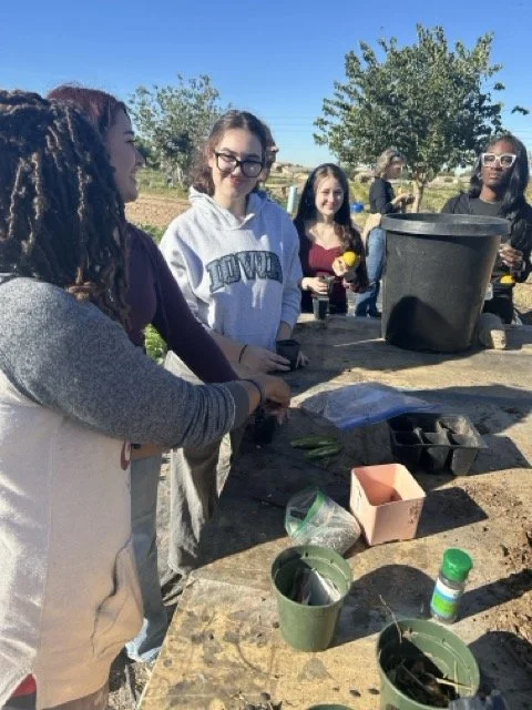 LTYD Youth Farm_3136 Medium.jpeg