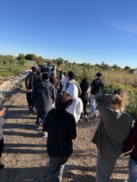 LTYD Youth Farm_4651 Medium.jpeg