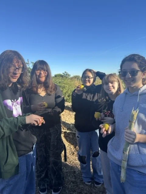 LTYD Youth Farm_3118 Medium.jpeg