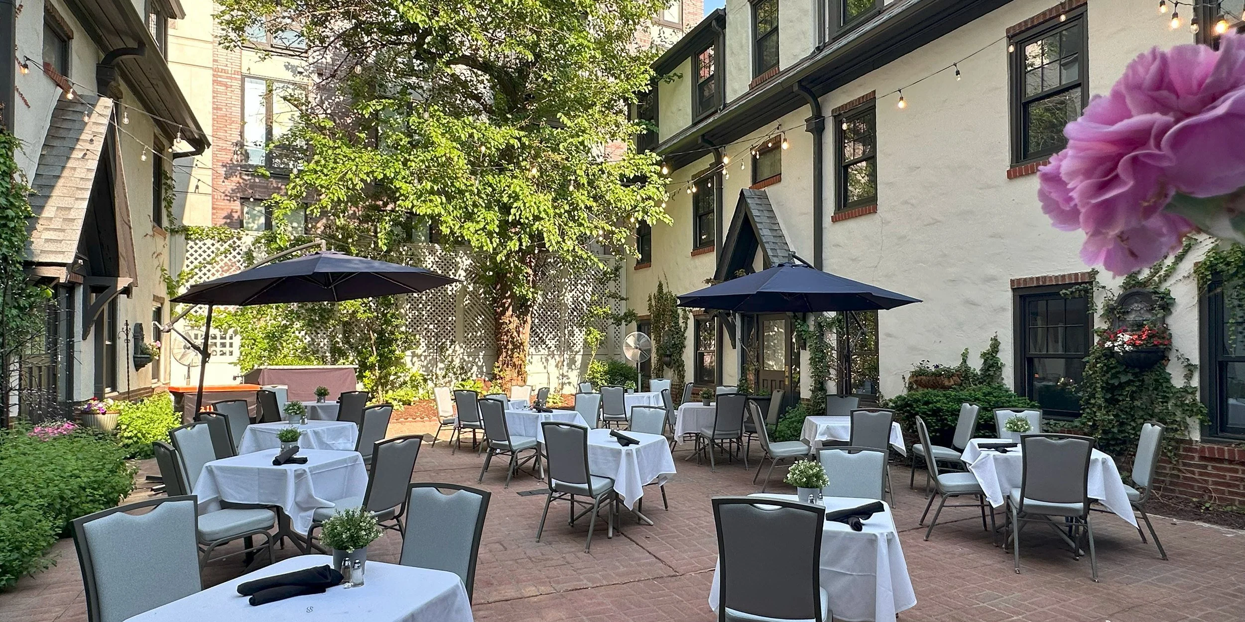 courtyard_springtime.jpg