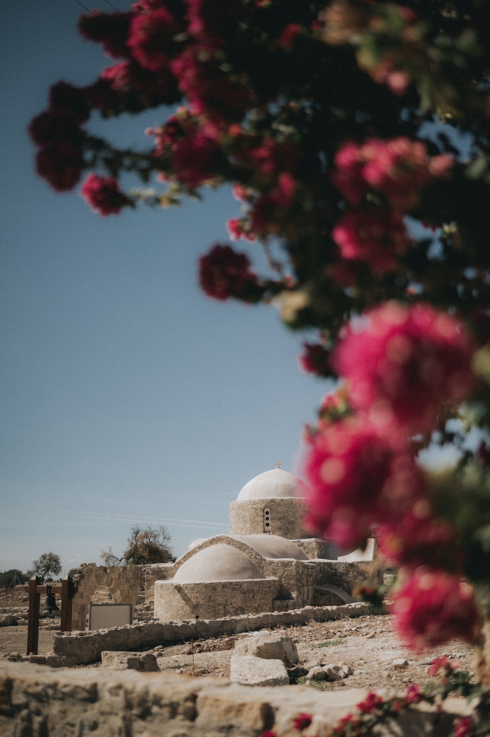 liopetro secret garden