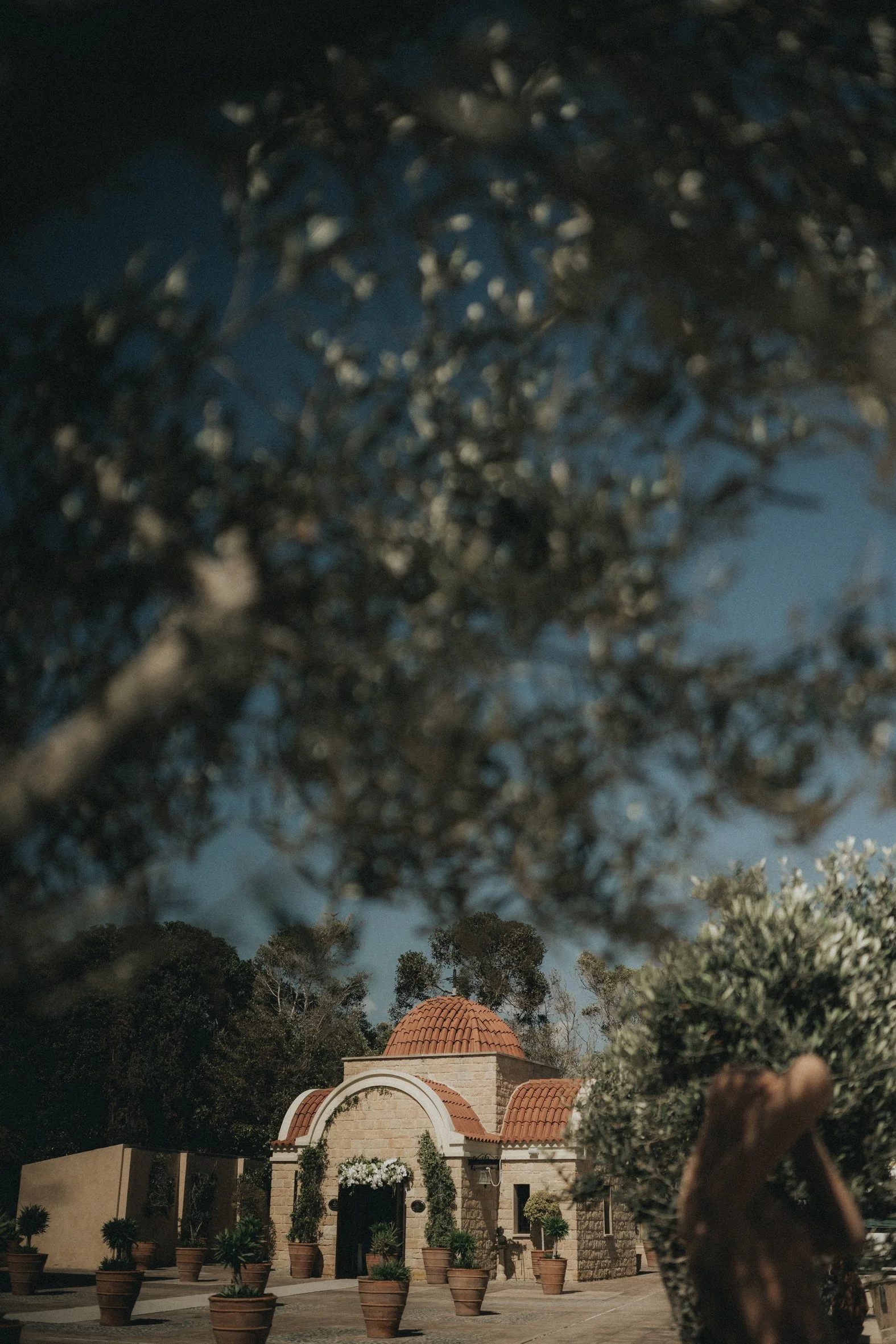 Weddings at the Elysium Hotel
