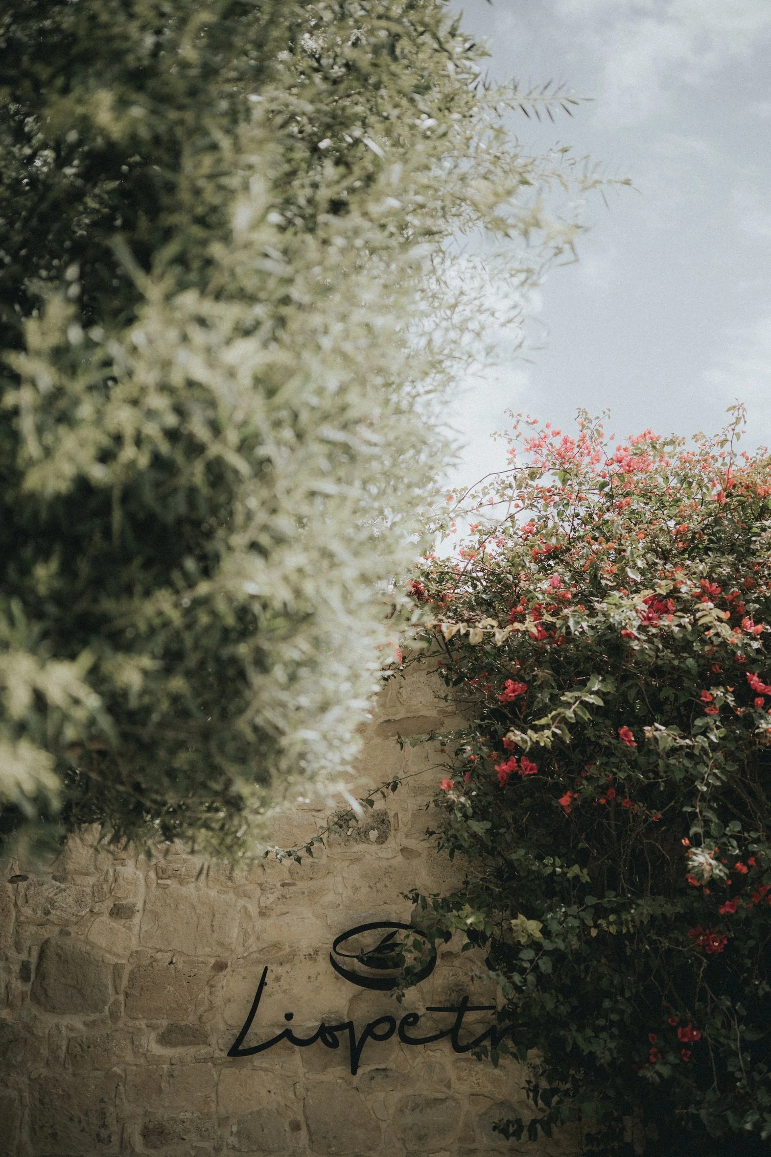 liopetro weddings Lauren and Andros (4).jpg