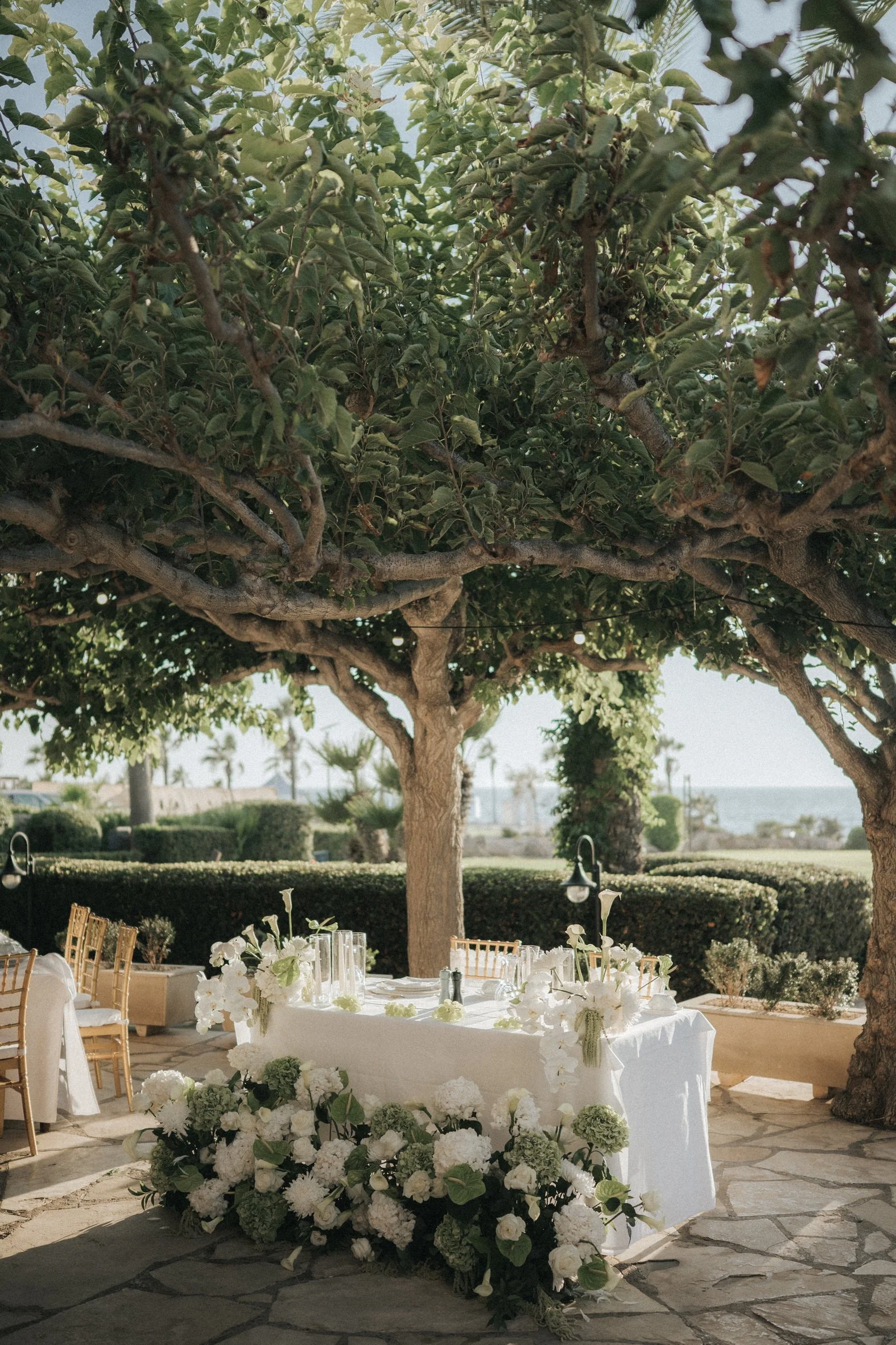 luxury Orthodox weddings at Elysium Hotel (487).jpg