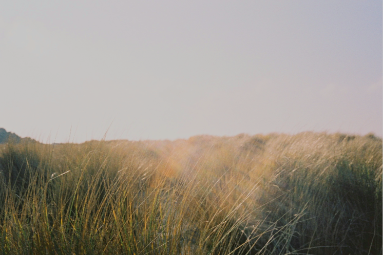 Screen Shot 2026-03-10 at 8.41.56 AM.png