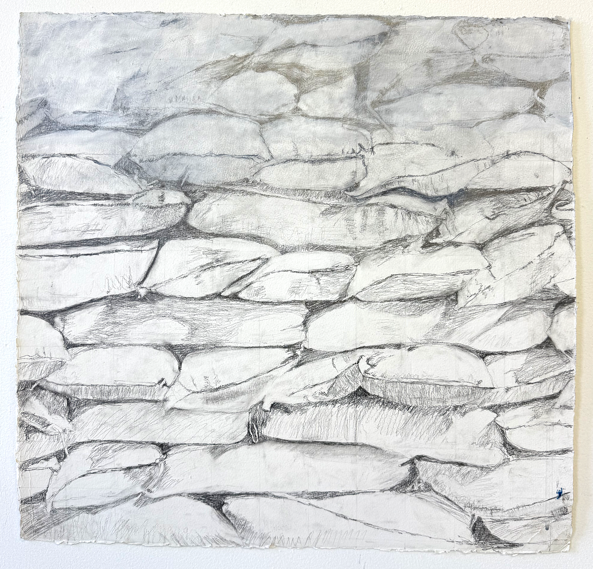 Graphite and acrylic on primed paper || 23" x 22.5" || 2025