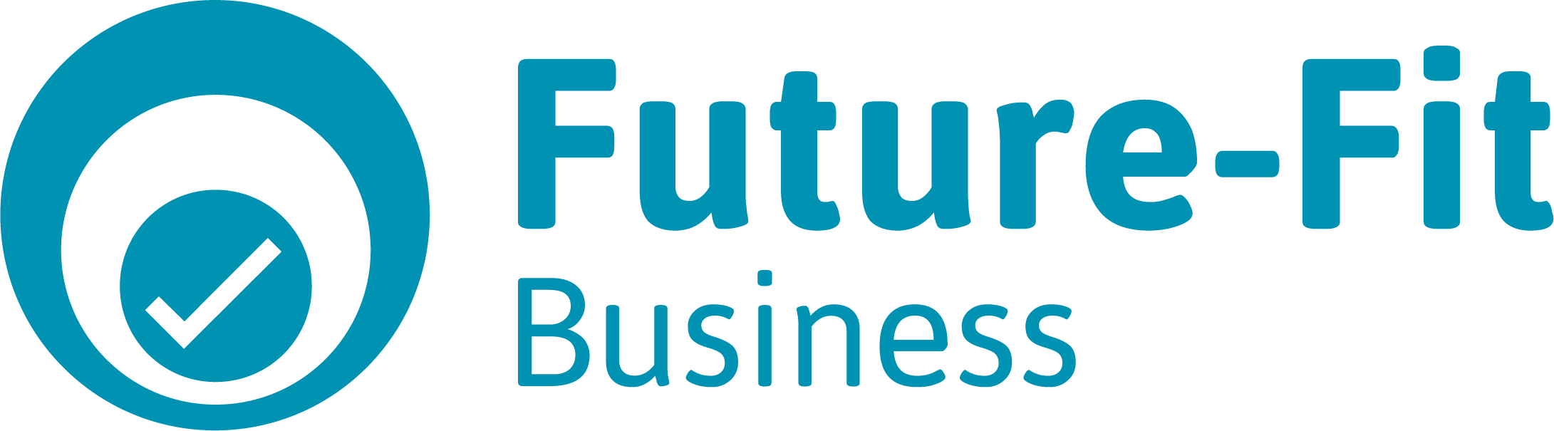 Future Fit Business Benchmark