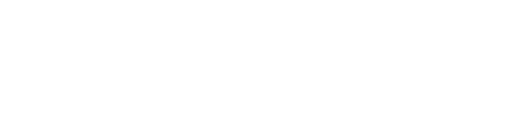 Dallas Consulting