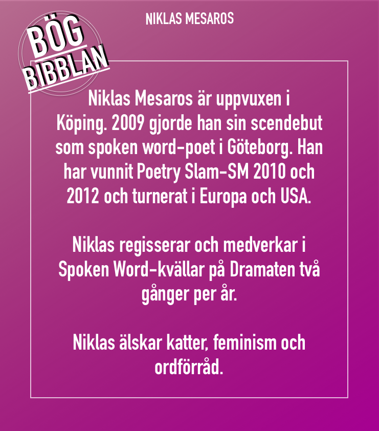 Niklas 3.png