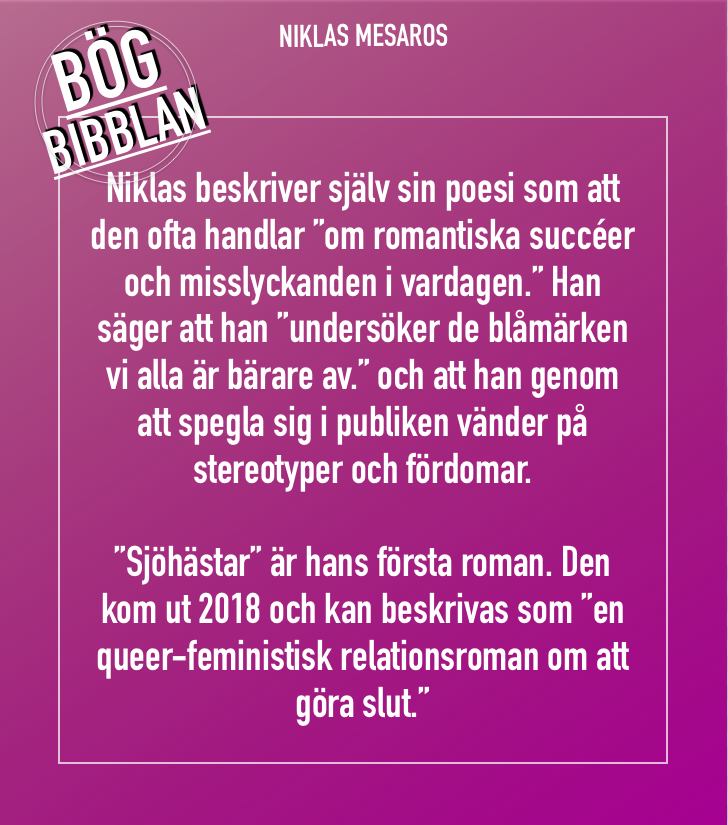 Niklas 4.png