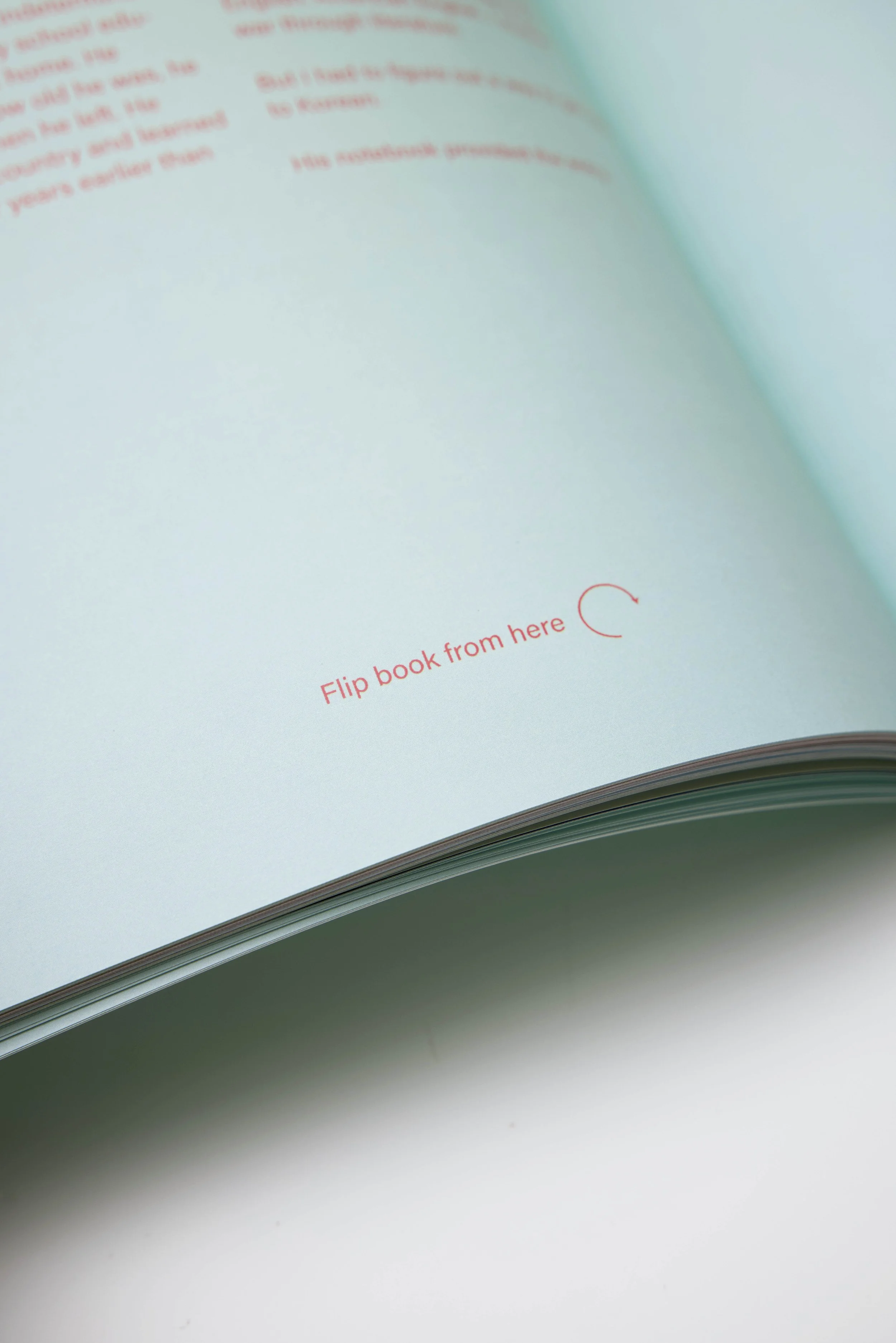 Flip Detail copy.jpg