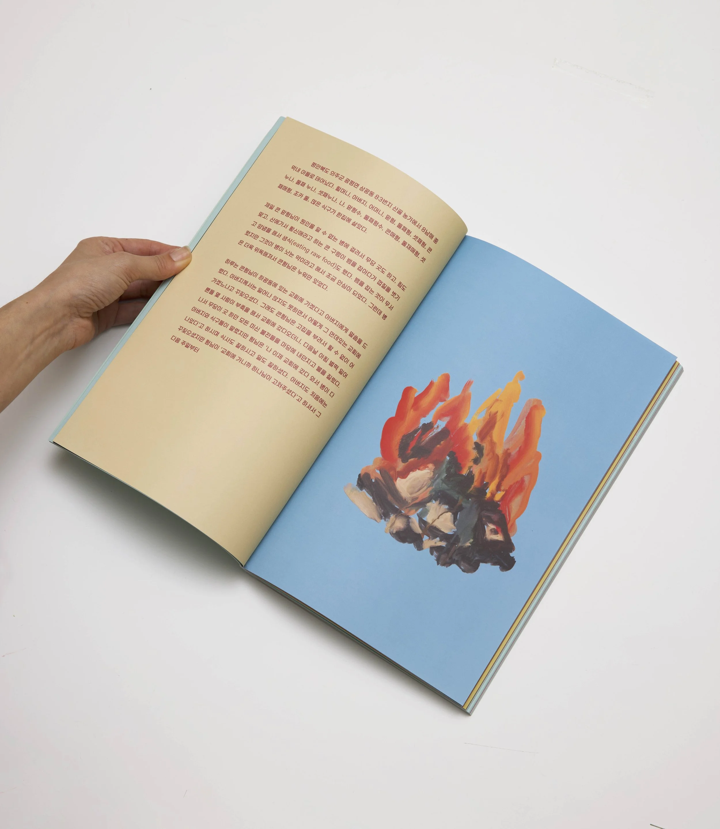 korean fire spread copy.jpg