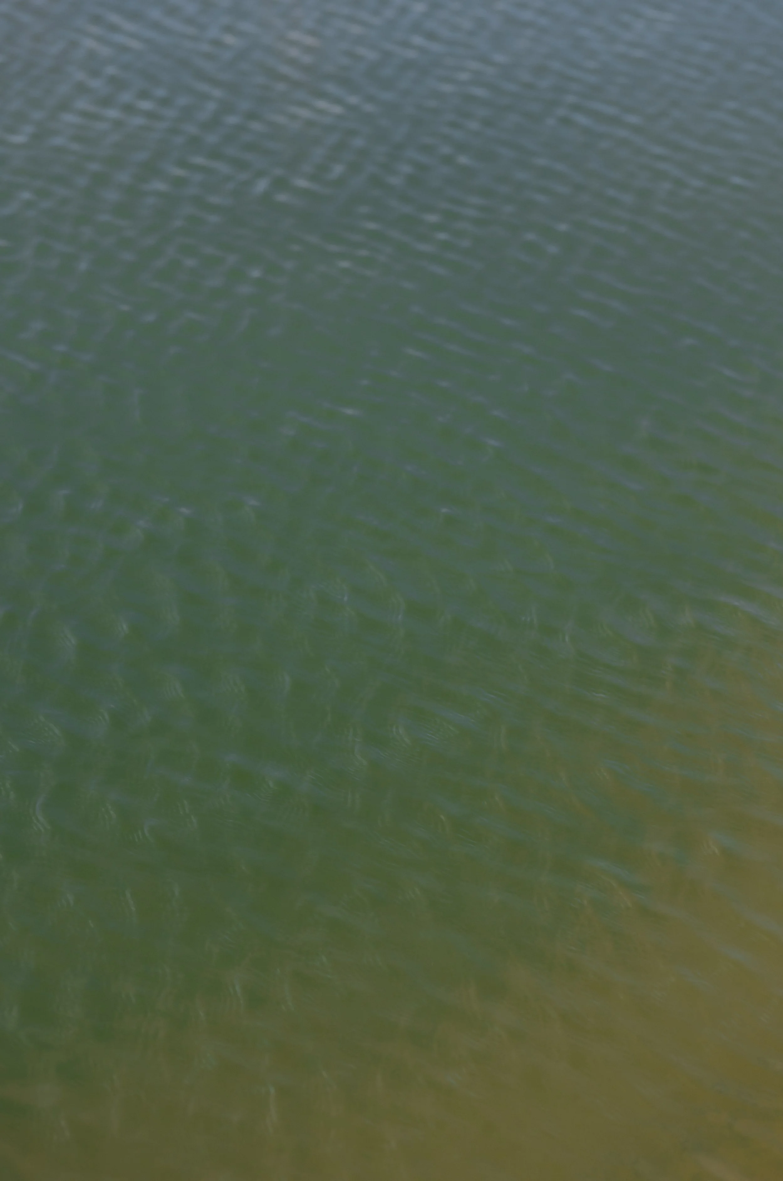 899A8871 2.JPG