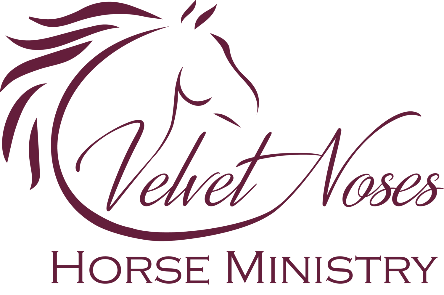 Velvet Noses Horse Ministry