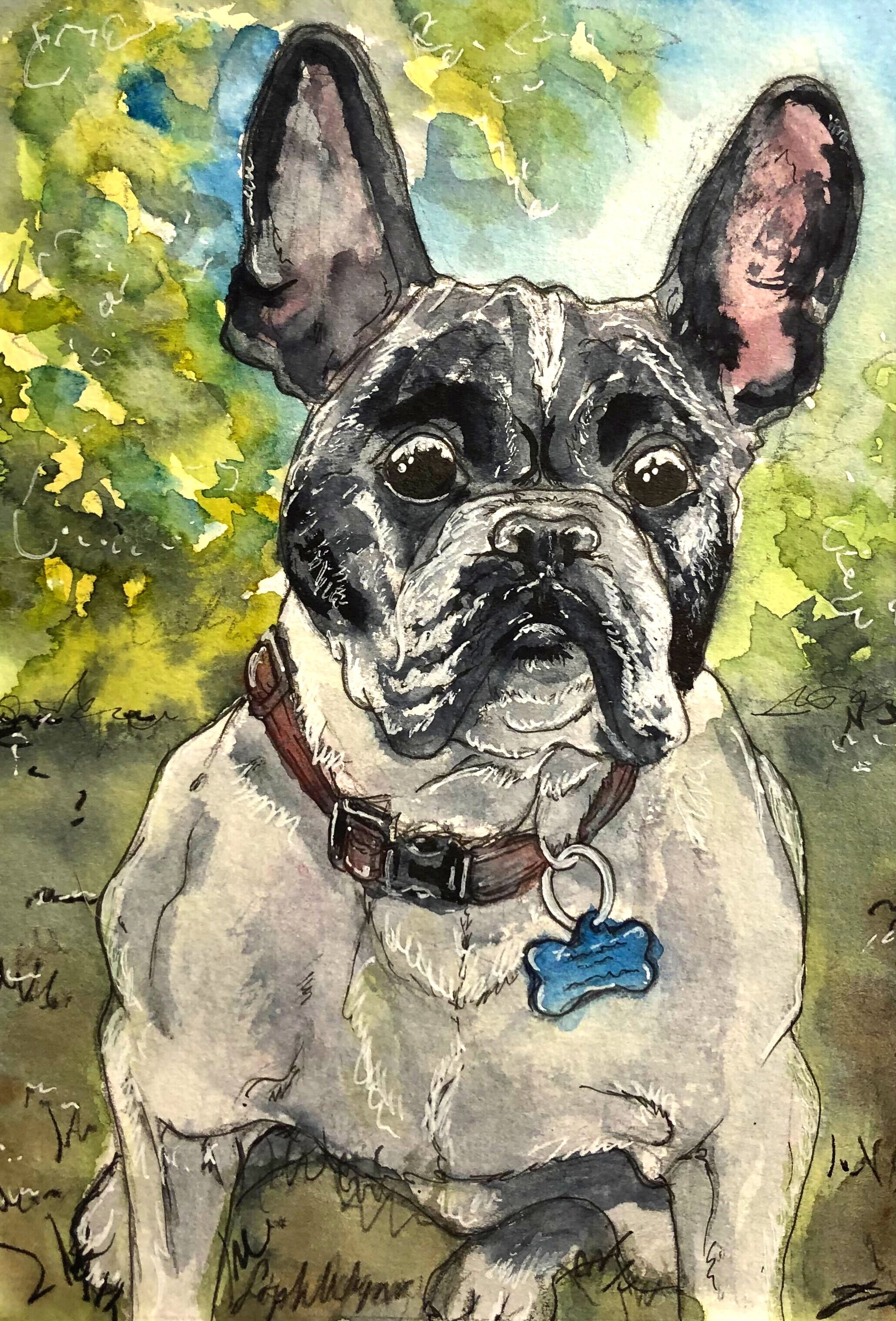 Frenchie.jpg