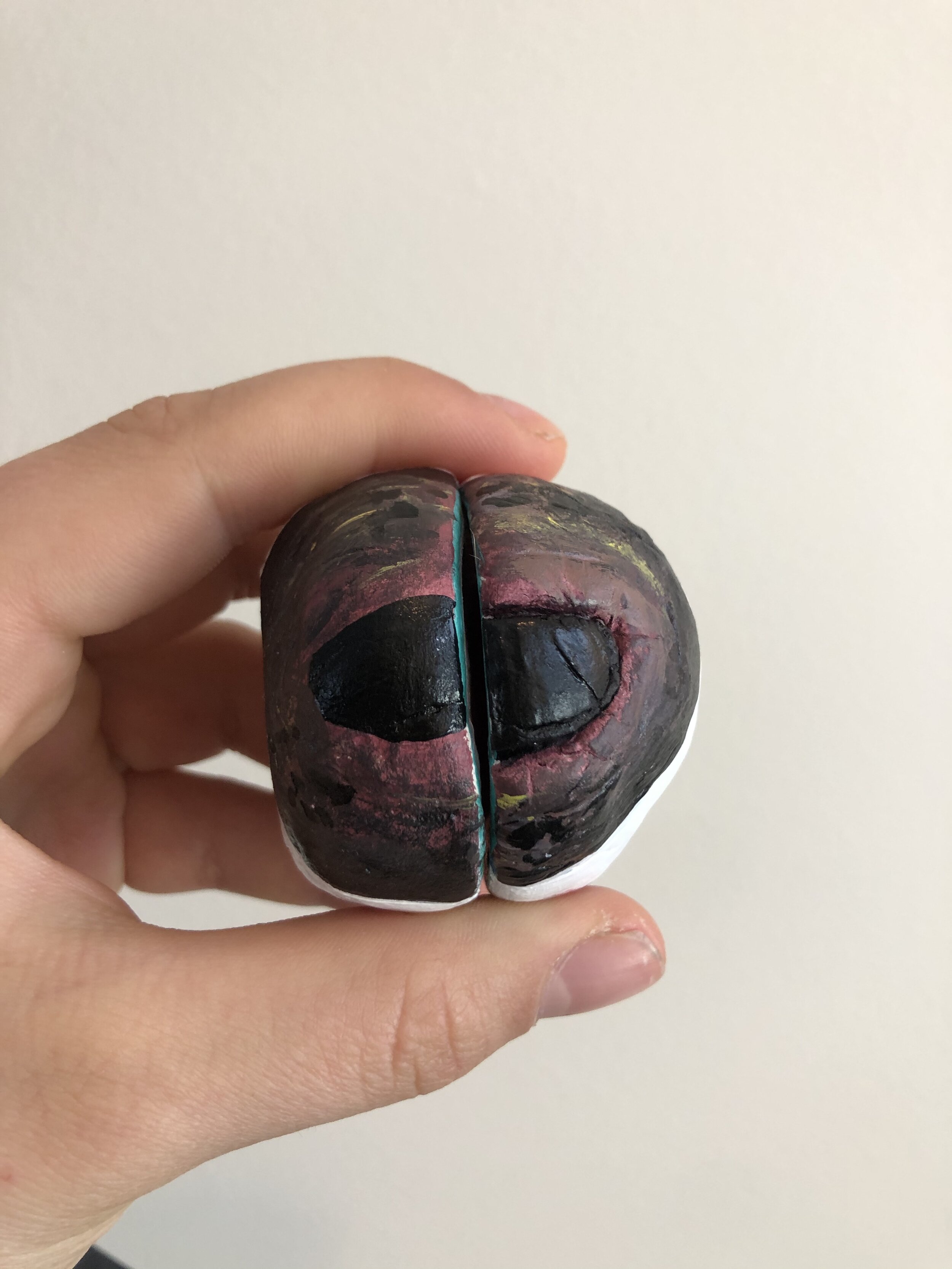 Front view of the eye ball put together! One side is flat so it can rest in the cavity and on flat surfaces.