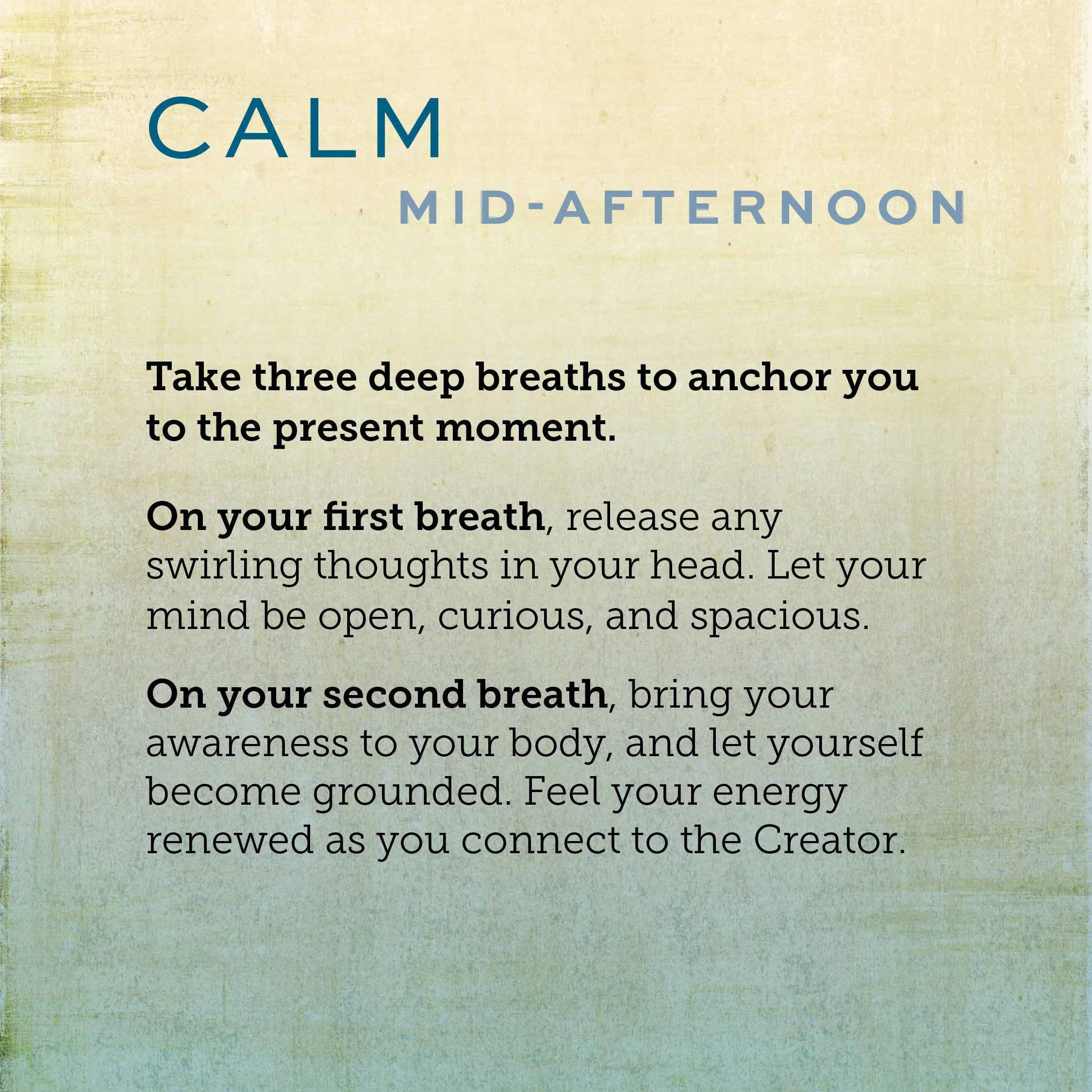 12-PtD-sq-calm1.jpg