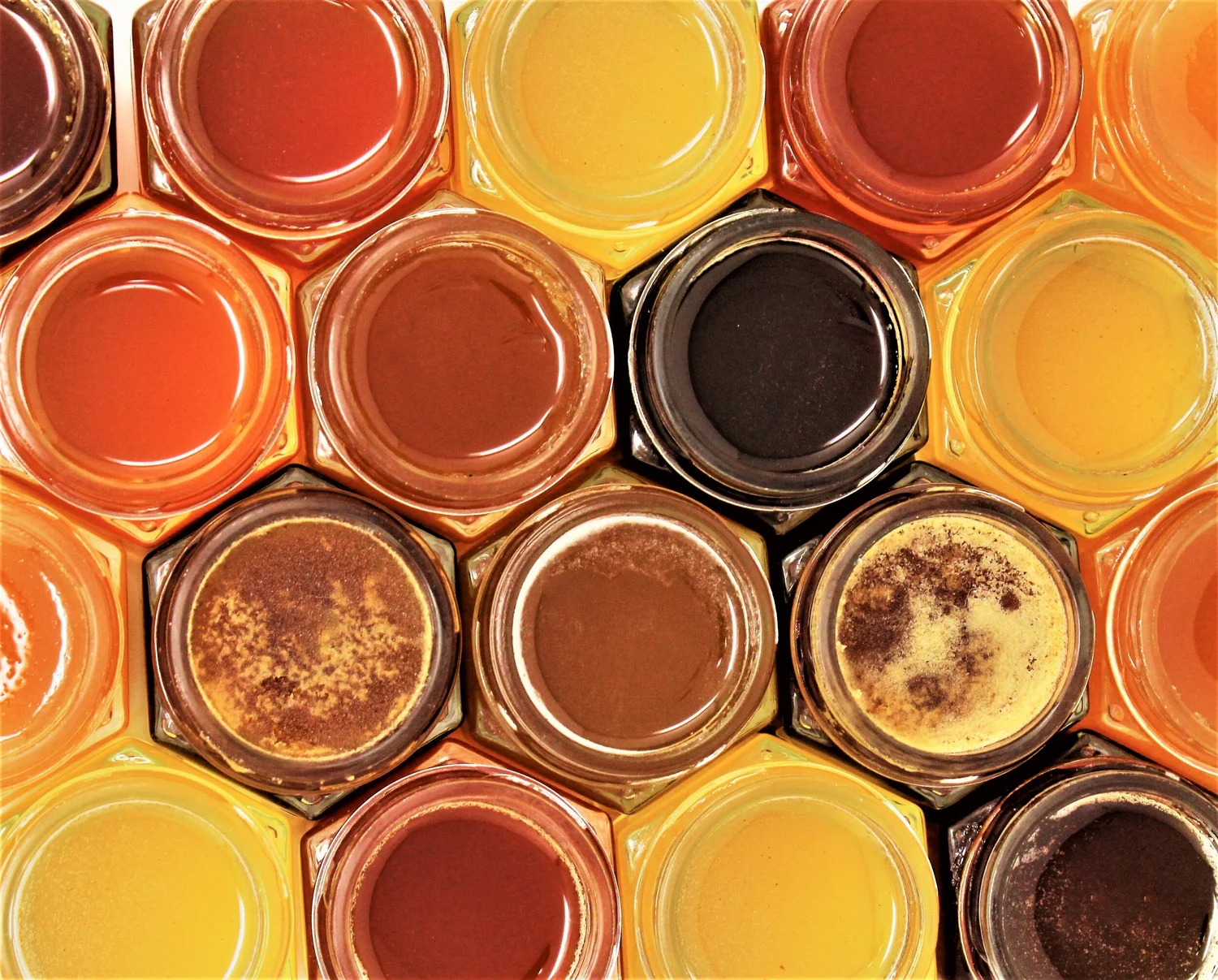 Sequim Bee Farm— Honey