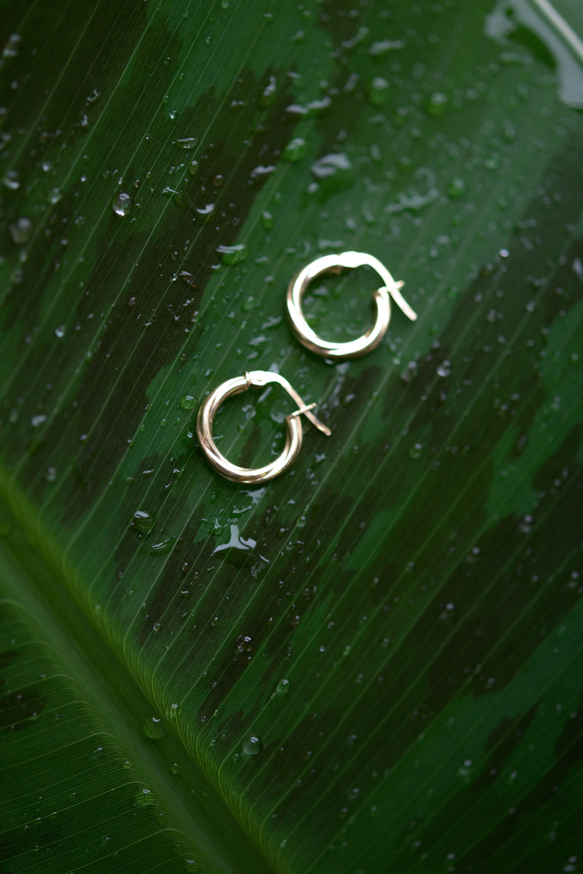https://i.etsystatic.com/21712418/r/il/c7c431/2496116138/il_fullxfull.2496116138_t9pt.jpg