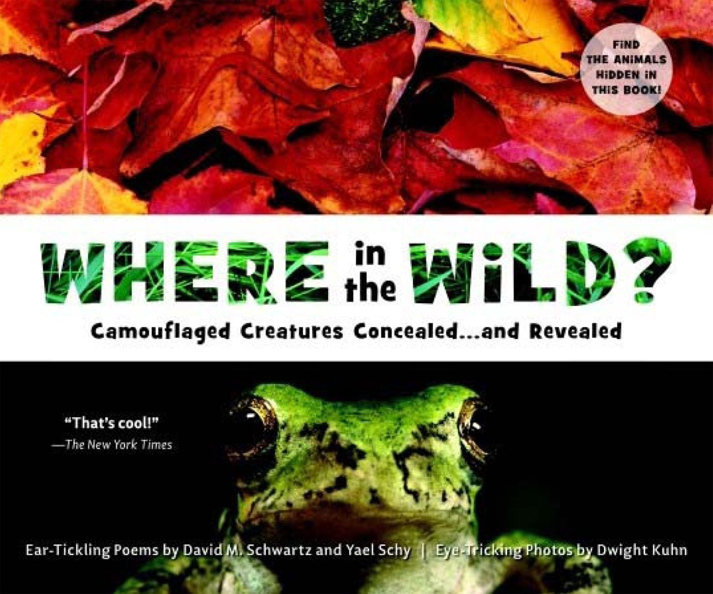 Camouflage- Songs and Books — Learning withOutdoors