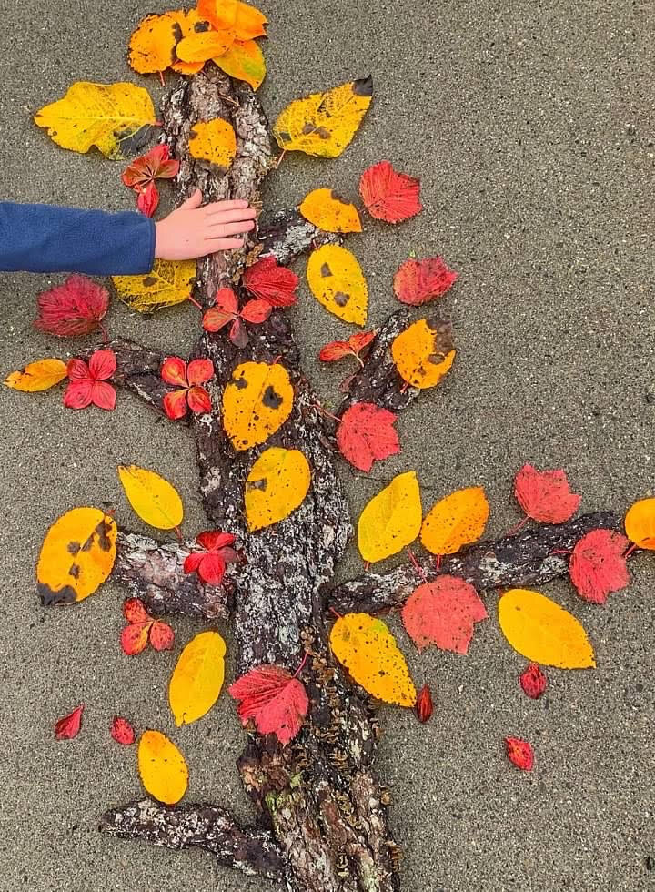 #9) Found Objects Autumn Tree- Alaska, US
