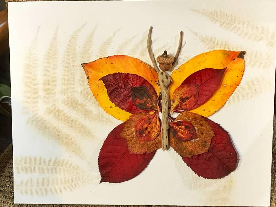 #8) Nature's Butterfly- Alaska, US