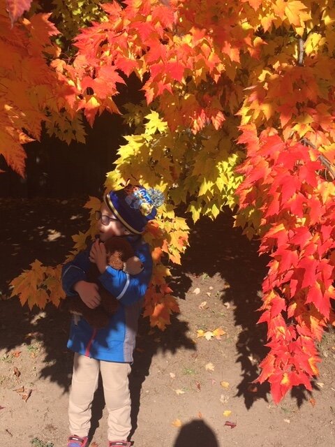 #16) Exploring the magical colours of fall- Ontario, CA