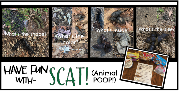 Identifying Scat Activities for Kids! — Learning withOutdoors