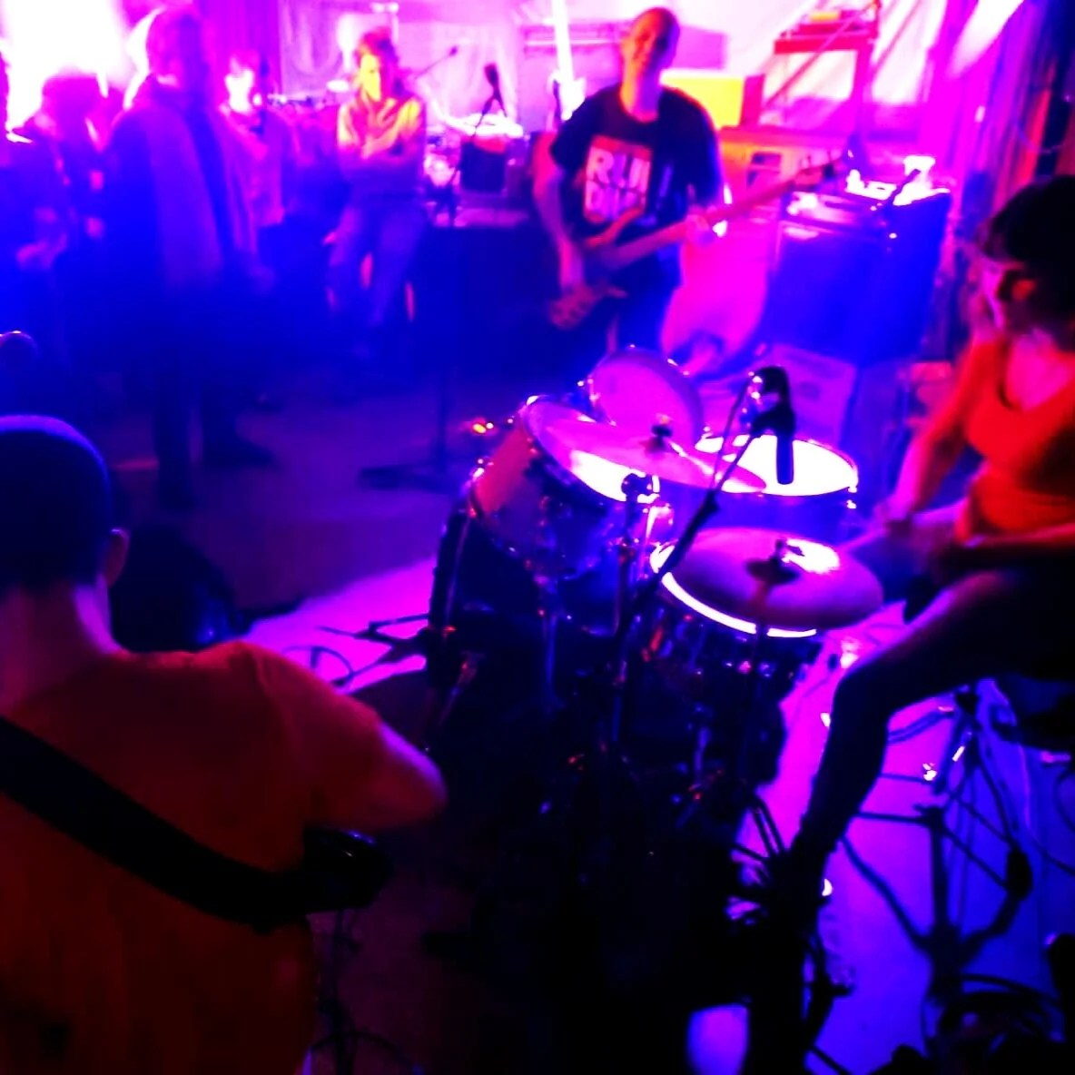 Start Listening To: Radical Kitten