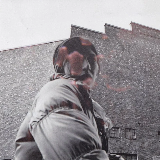 Aldous Harding - Warm Chris Review