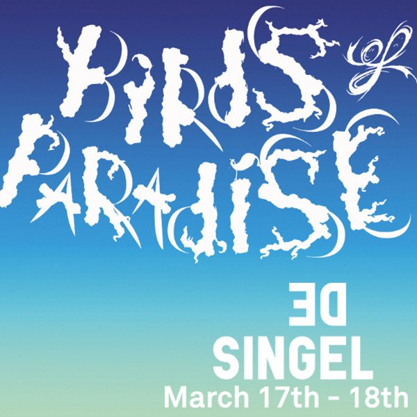 Birds Of Paradise Festival Returns For Second Year