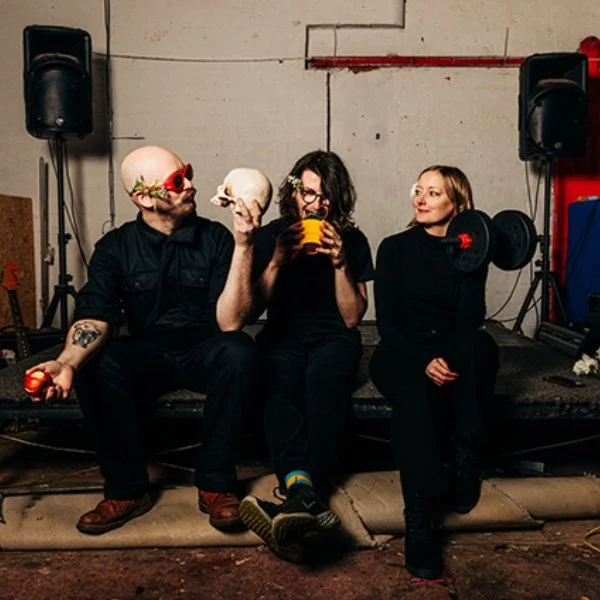 Start Listening To: The Kidney Flowers 