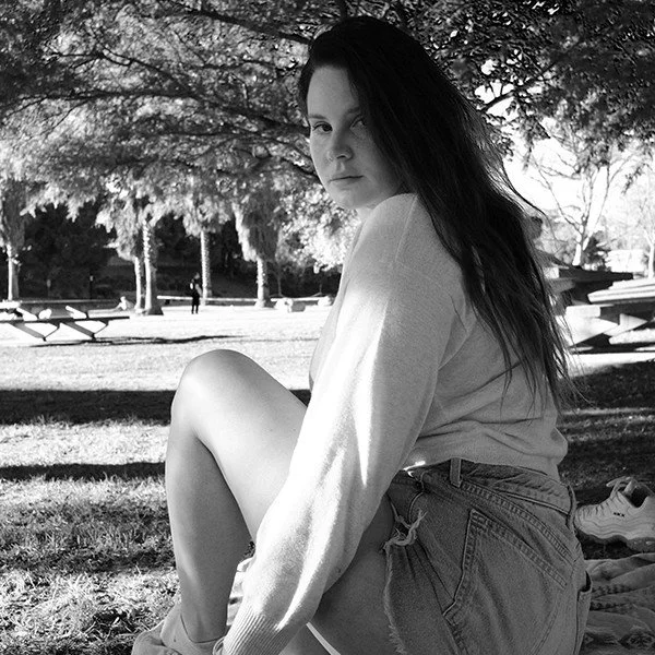 Primavera Sound Barcelona Announce 2024 Lineup 