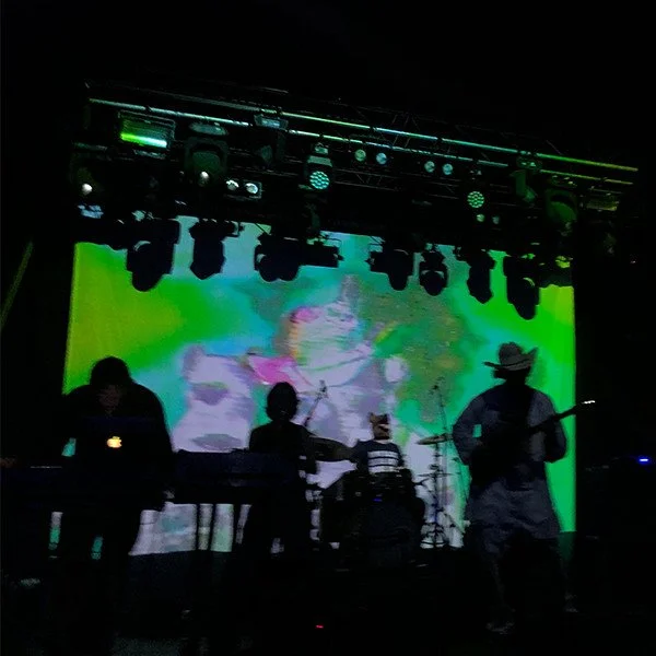 Gig Review: Fat Dog Live At Electric Brixton