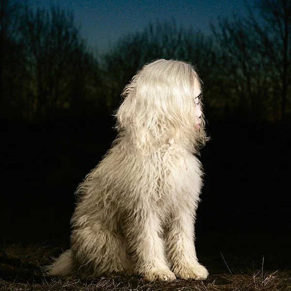 Juana Molina - DOGA Review