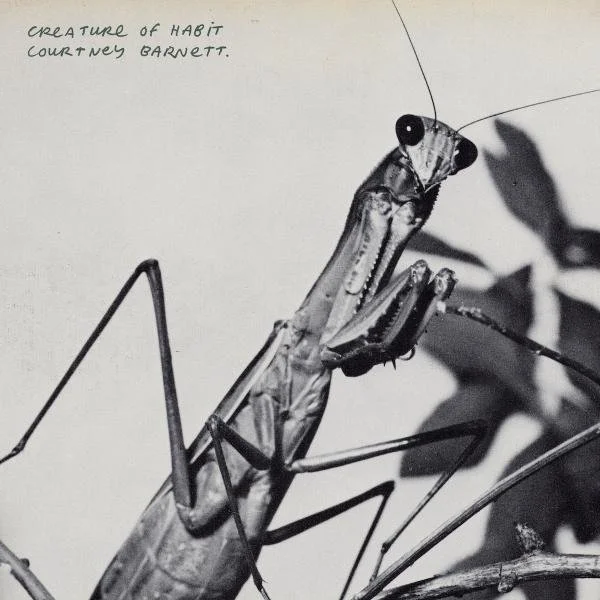 Courtney Barnett - Creature of Habit Review