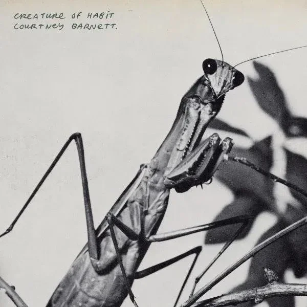 Courtney Barnett's Creature Of Habit cuts straight to the heart as she seeks clarity amidst her inner battles. A raw and honest evolution in her sound. 📀

Link in bio 🔗

#courtneybarnett #creatureofhabit #albumreview #indierock #stilllistening