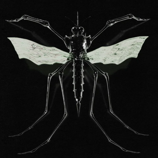 Wax Head - GNAT Review