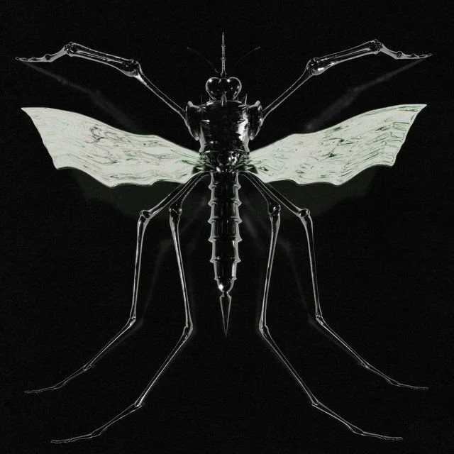 Wax Head&rsquo;s GNAT mixes sharp guitars with motorik rhythms for a fierce listening experience 📀

Link in bio 🔗

#musicreview #waxhead #gnat #alternativerock #stilllistening