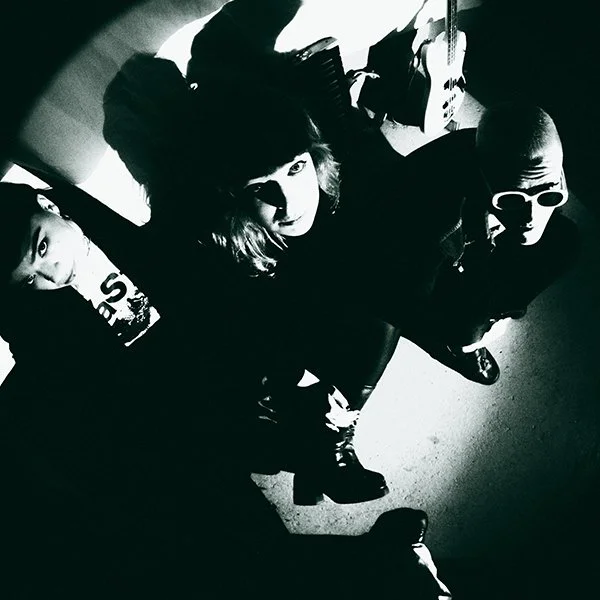 Start Listening To: TV For Cats