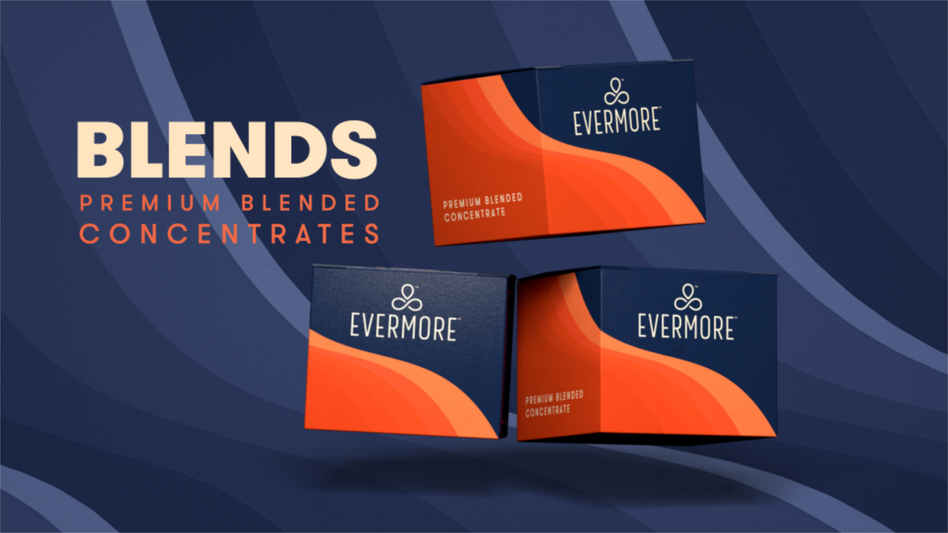 evermore-brand-video-styleframe-04.png