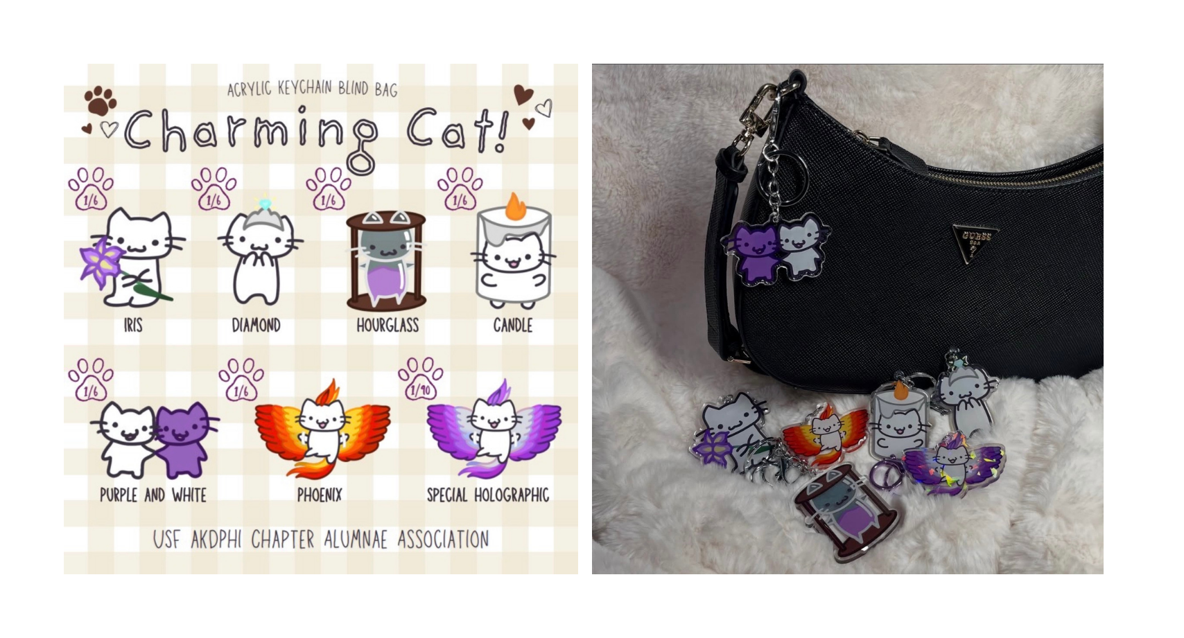 AA - University of South Florida | Charming Cat Blind Box | Deadline: June 8th