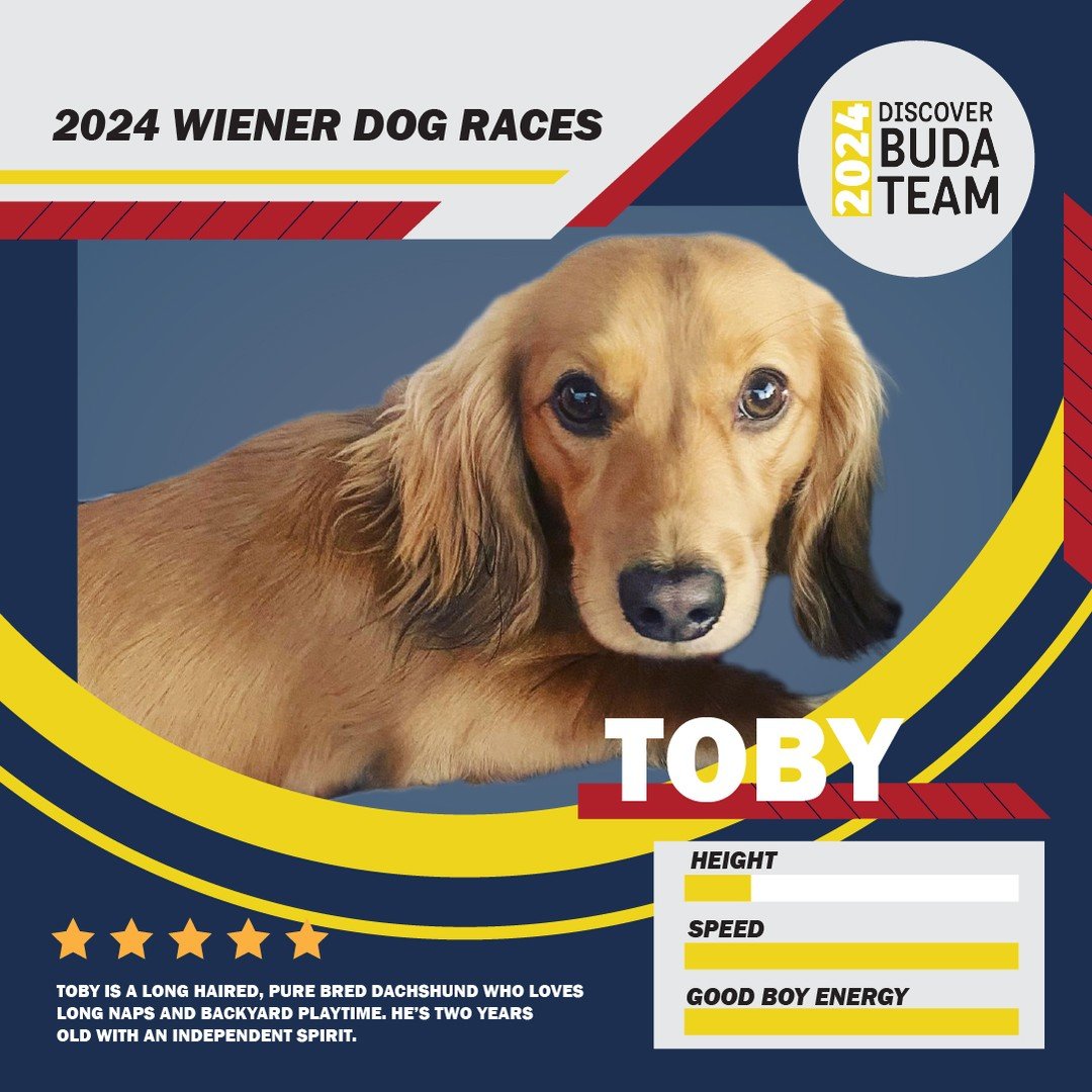 It's race time, Buda!!

This year, we are excited to announce, we are sponsoring TWO dogs in the annual Buda Wiener Dog Races at the Buda Amphitheater &amp; City Park this weekend!

Meet Toby &amp; Dobrik, the official Discover Buda Dachshunds for 20