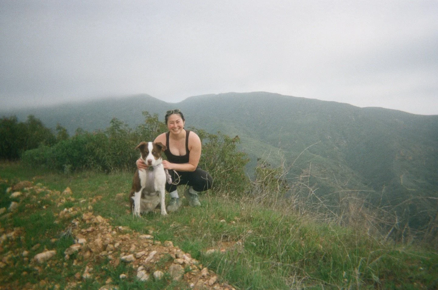 the highs of the final few months of a year that unfortunately happened