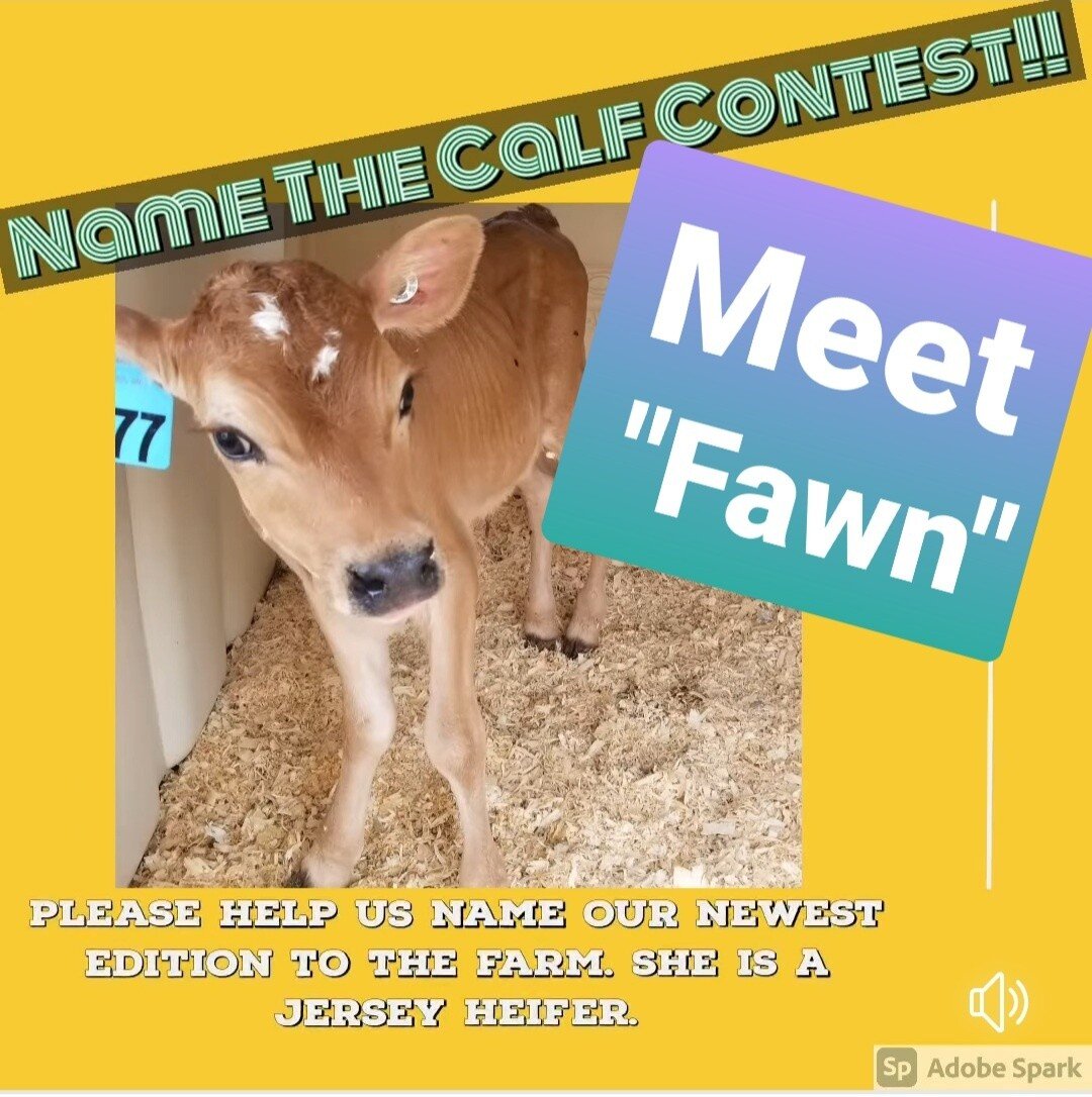 Meet &quot;Fawn&quot; 
Thanks for everyone who gave us so many great names for her but especially Christine Knoll &amp; Deb Wigington for picking the perfect name since she looks so much like a baby fawn.  Each will win a party pack box of 24 cups of