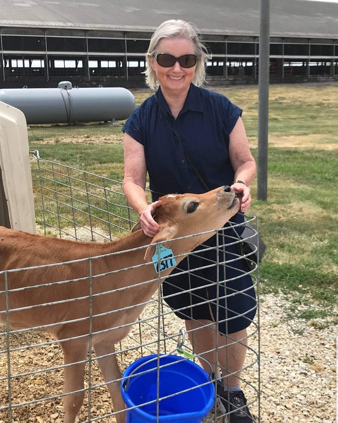 Deb was our Name the Calf winner.
Here she is with Fawn &amp; also got to pickup a party pack of 24 single serve froyo cups for being our winner!  They seem to get along well!
