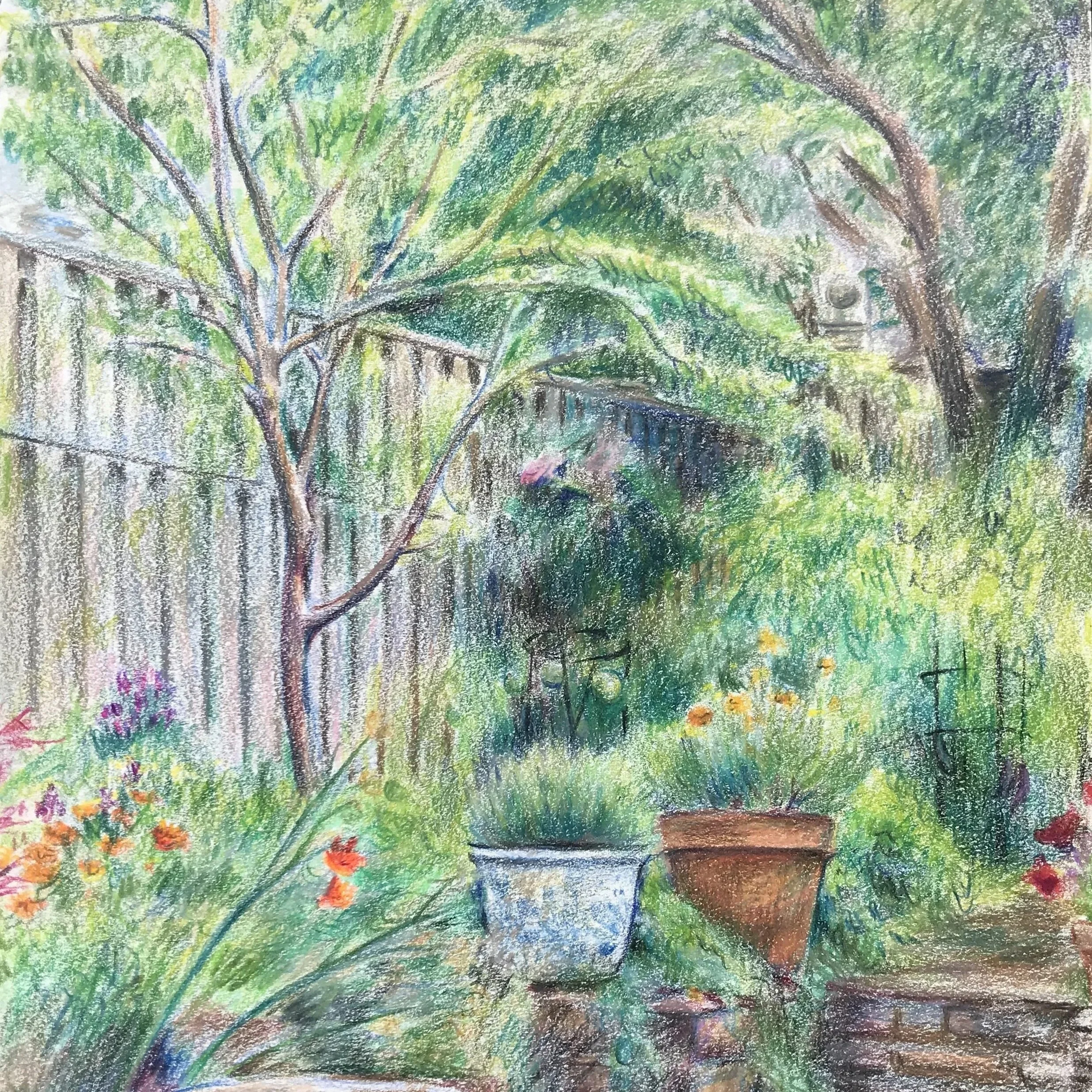 garden.jpg