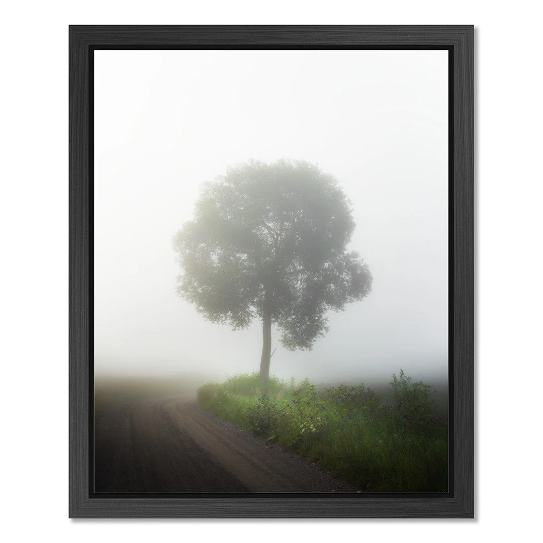 Framed print in a floater frame…