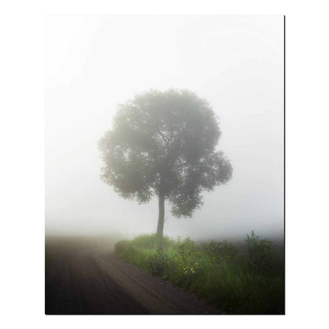 Acrylic photo print…